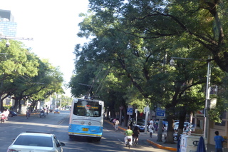 P1080335.JPG