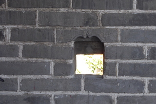 P1080399.JPG