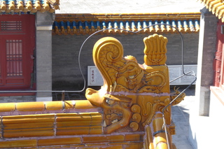 P1080407.JPG