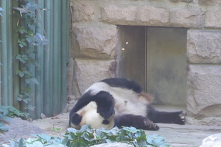 P1080466.JPG