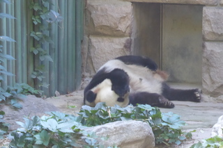 P1080467.JPG