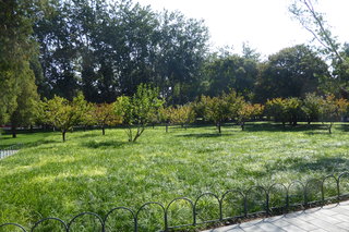 P1080500.JPG