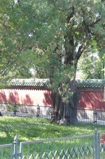 Filename=P1080503.JPG
Filesize=3443KiB
Dimensions=2672x4000
Date added=Oct 05, 2019 P1080503.JPG