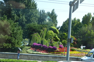 P1080526.JPG