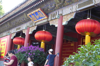 P1080537.JPG