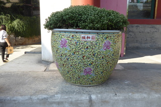P1080543.JPG