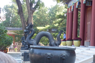 P1080545.JPG