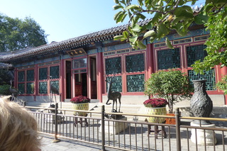 P1080554.JPG