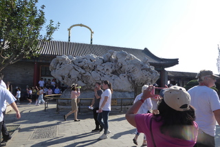 P1080556.JPG