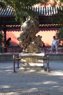 P1080573.JPG