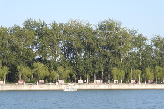 P1080601.JPG