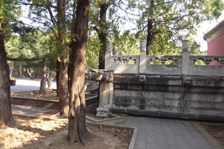 P1080616.JPG