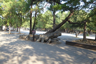 P1080617.JPG