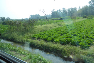 P1080656.JPG