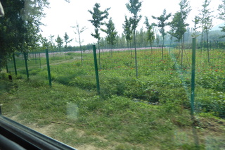 P1080658.JPG