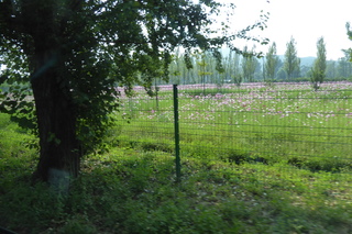 P1080659.JPG