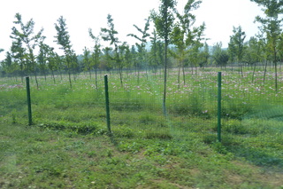 P1080661.JPG