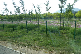 P1080662.JPG