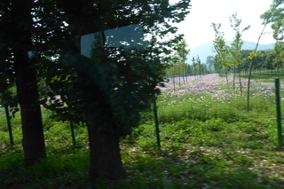 P1080663.JPG