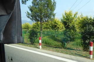 P1080672.JPG