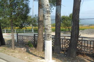 P1080673.JPG