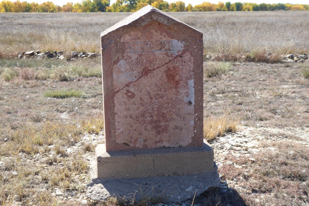 P1110337.JPG
