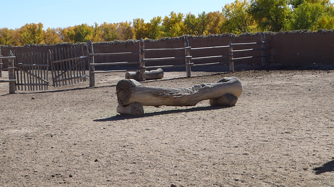 P1110371.JPG