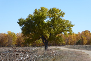 P1110334.JPG