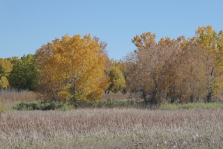 P1110339.JPG