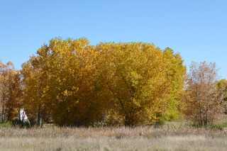 P1110366.JPG