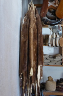 P1110412.JPG