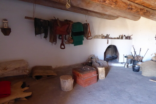 P1110436.JPG