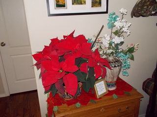 DSCN2431.JPG