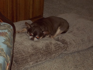 DSCN2492.JPG