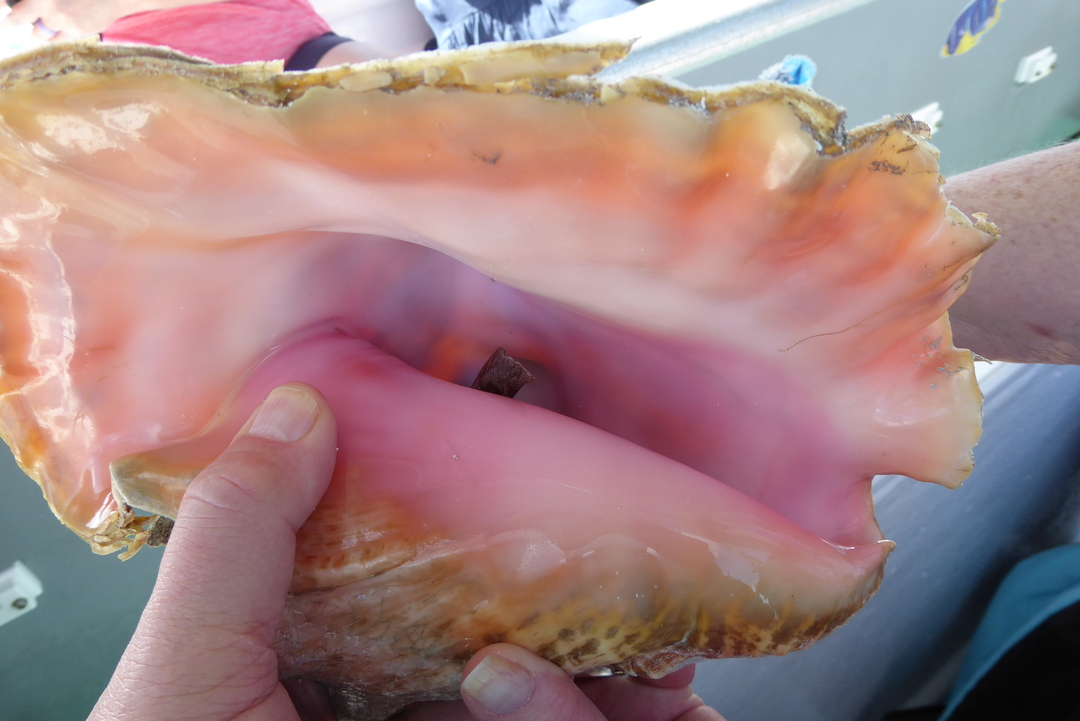 P1110498
