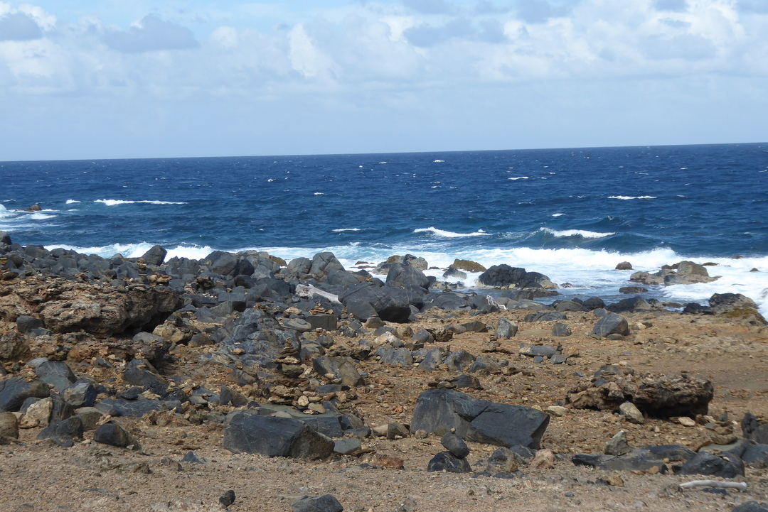 P1110564
