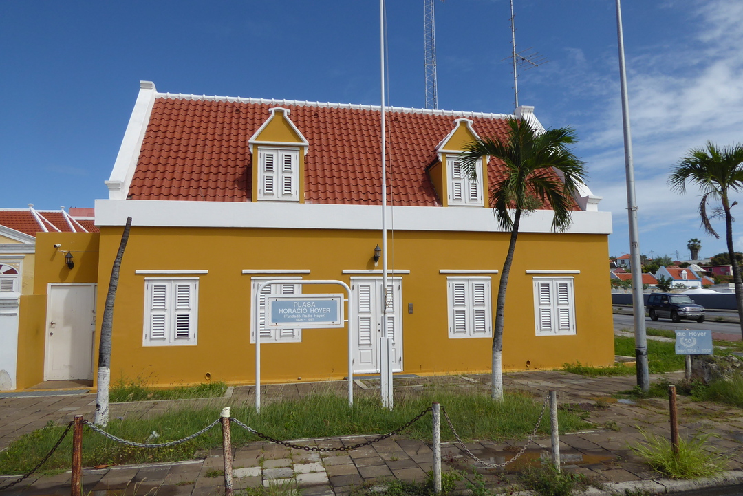 P1110647
