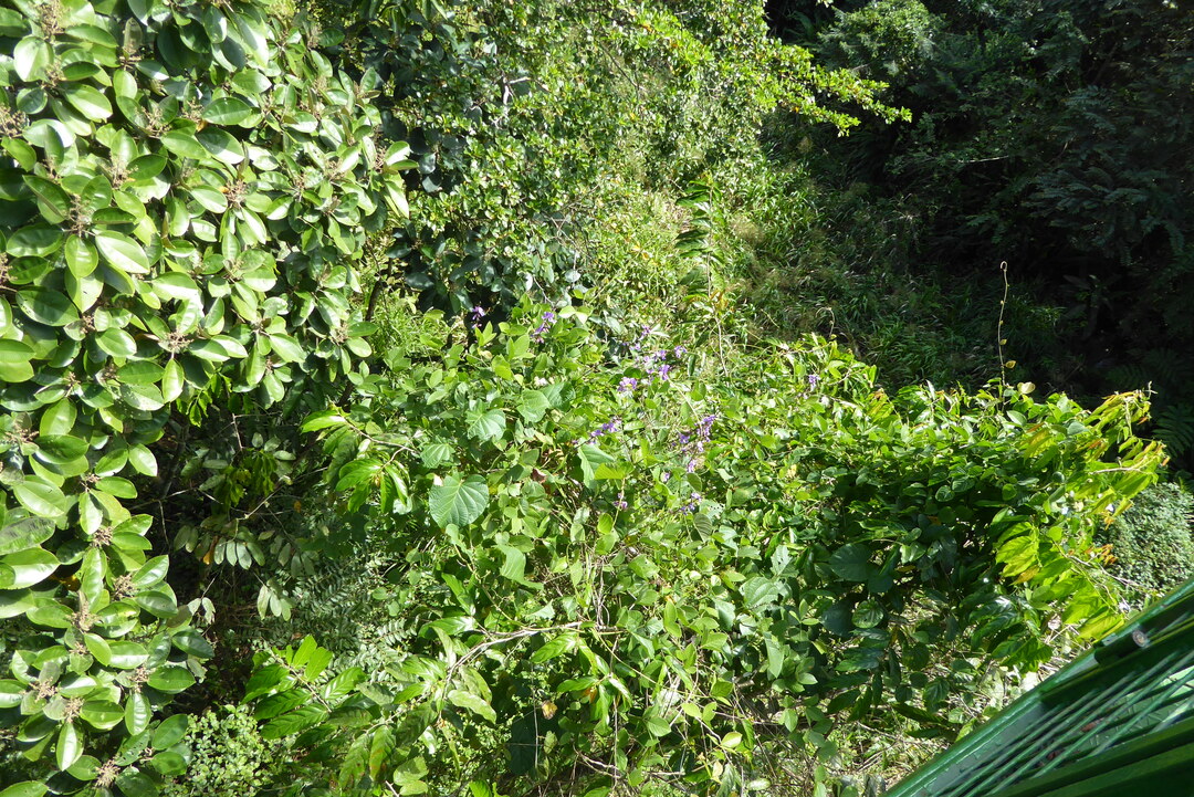 P1110766
