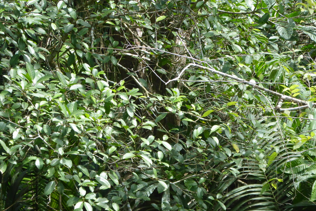 P1110768
