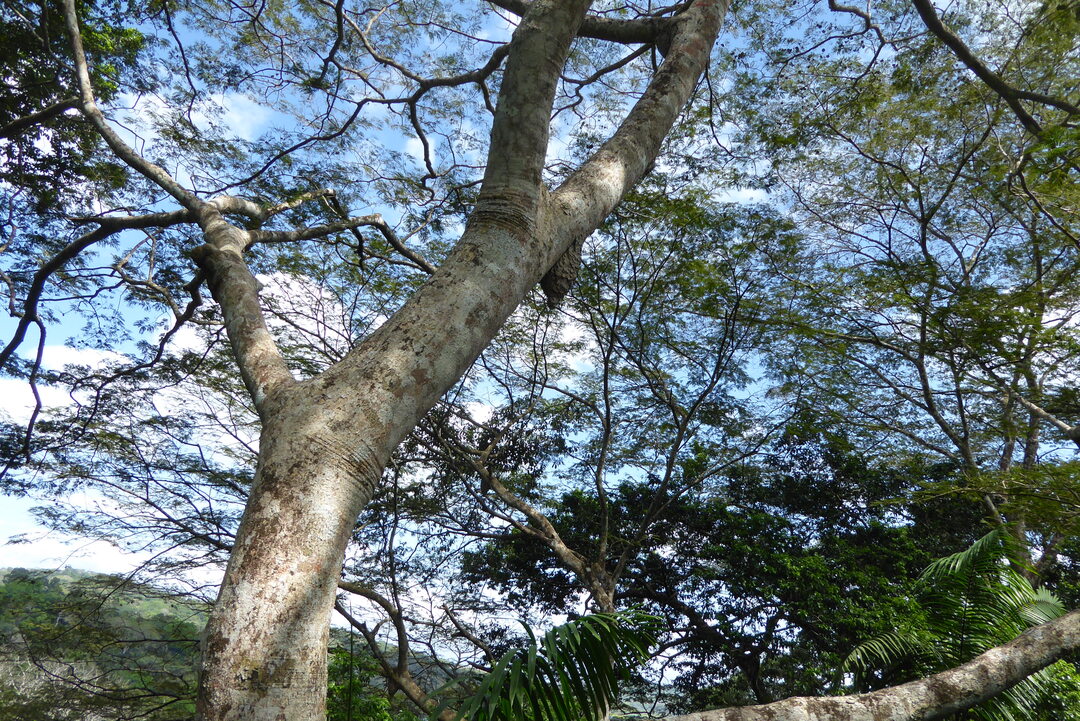 P1110778
