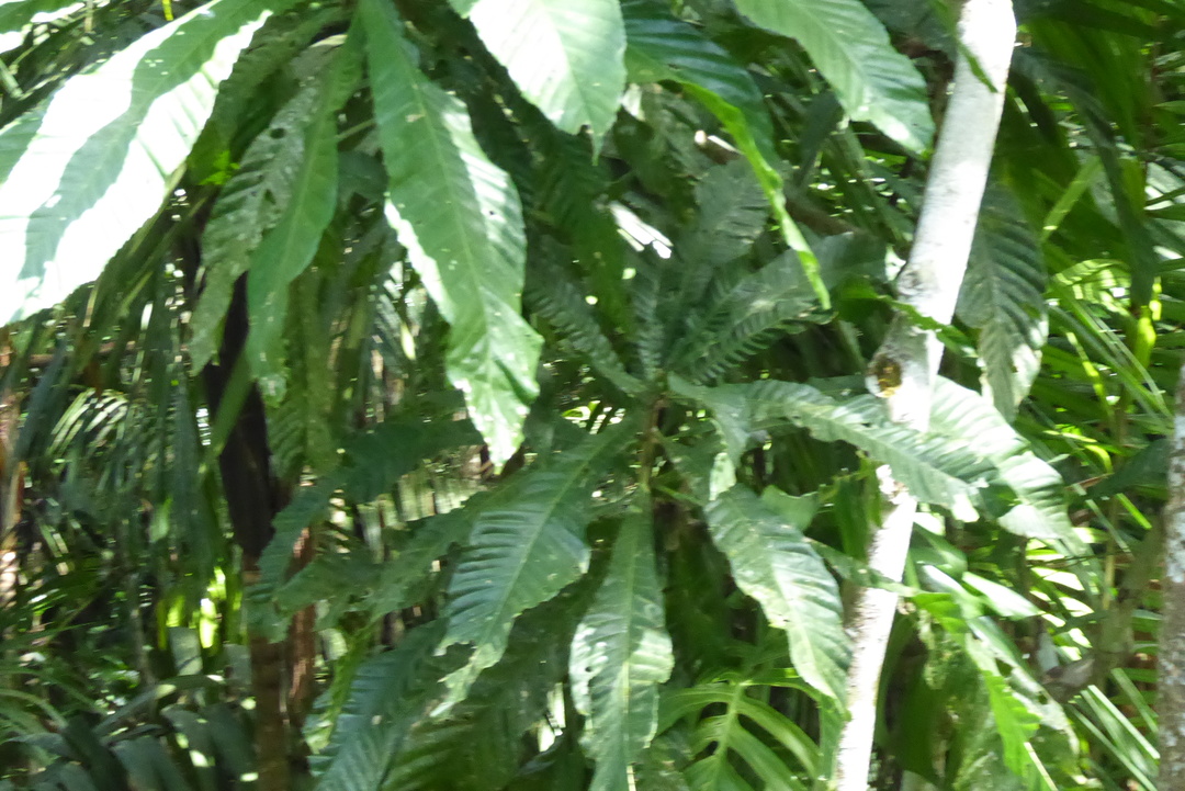 P1110791
