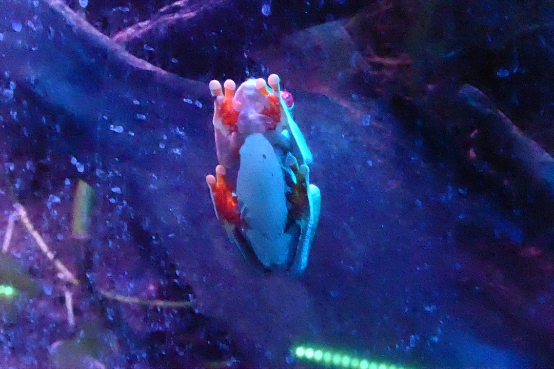 P1110834
