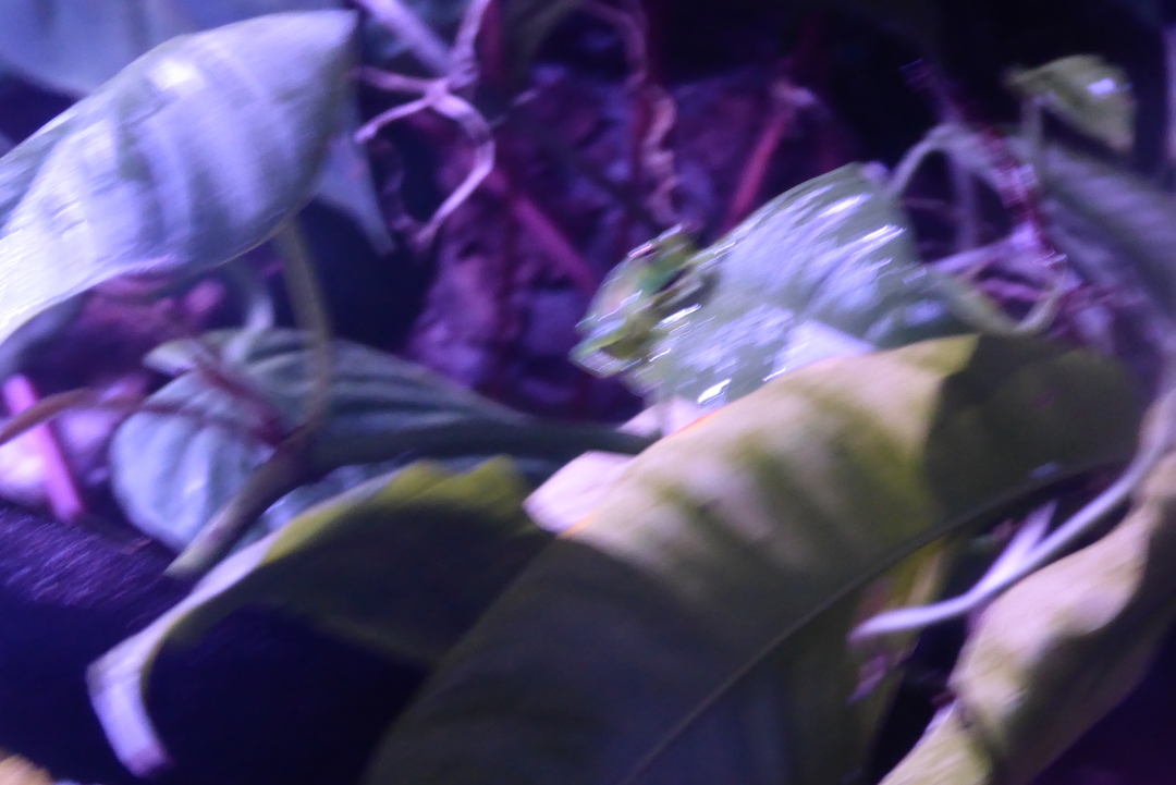 P1110843
