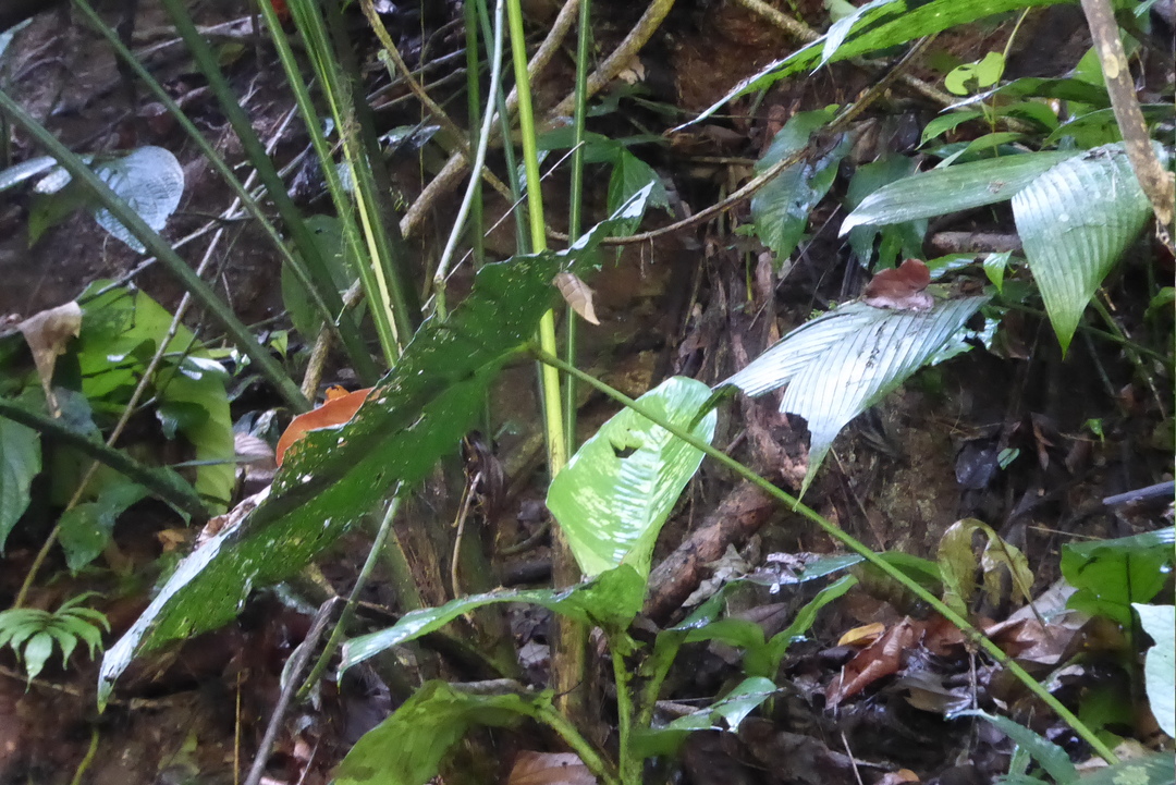 P1110901

