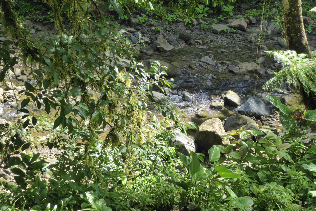 P1110914
