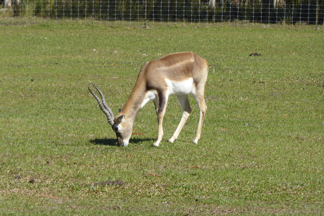 P1120029
