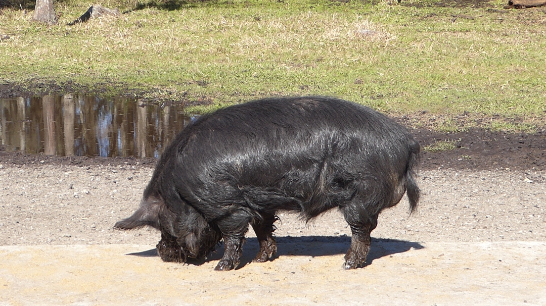 P1120033
