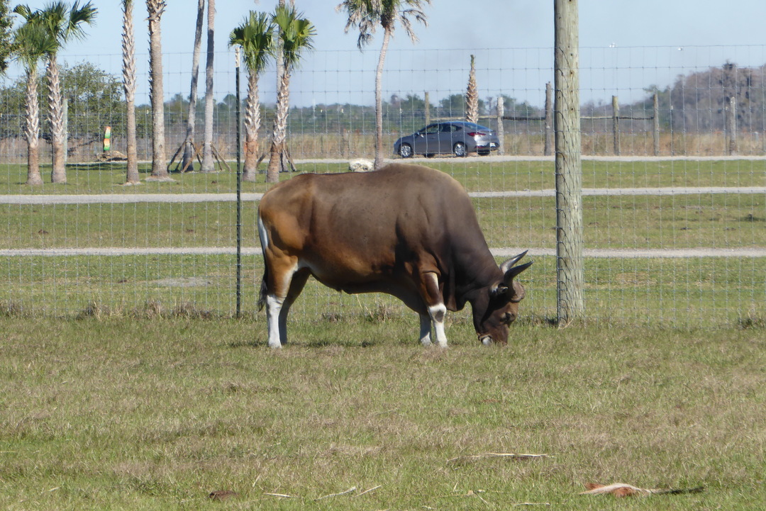 P1120043
