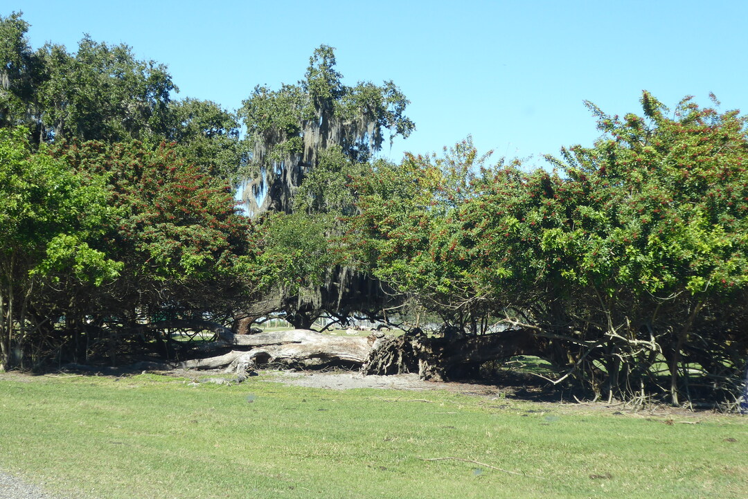 P1120056
