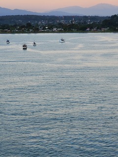 20220113_065915.jpg